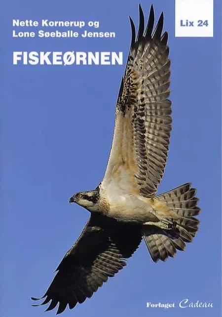 Fiskeørnen af Nette Kornerup