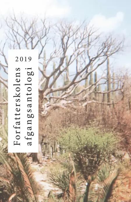 Forfatterskolens Afgangsantologi 2019 af Sara Masoudi