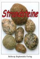Strandsteine af Mena Lassen
