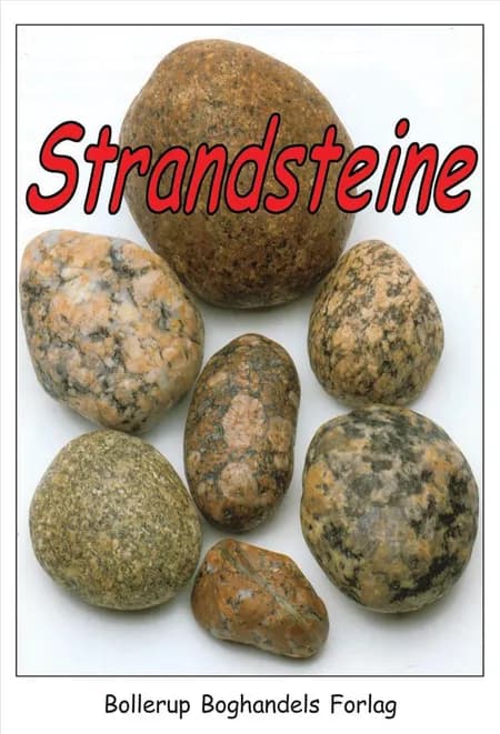 Strandsteine af Mena Lassen
