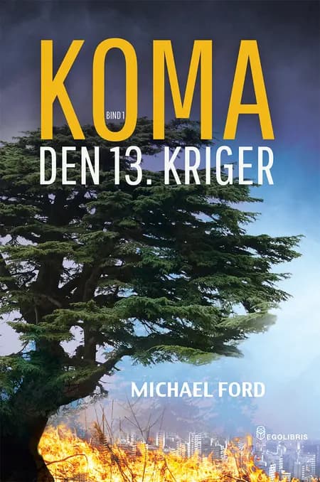 Den 13. kriger af Michael Ford