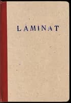 Laminat af Lasse Krog Møller, Christian Yde Frostholm og Gitte Broeng