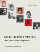 Palle alene i verden af Palle Bo Nielsen