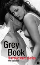 Erotic and sex: Grey Book 1 af Rapport Publishing