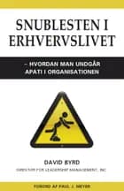 Snublesten i Erhvervslivet