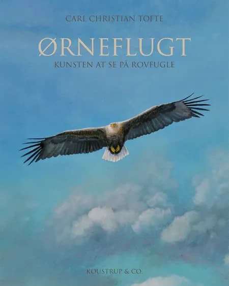 Ørneflugt af Carl Christian Tofte