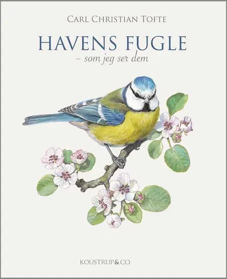 Havens fugle - som jeg ser dem af Carl Christian Tofte