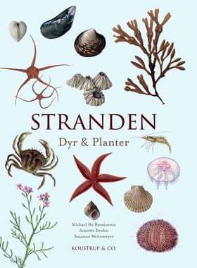 Stranden af Annette Bruhn