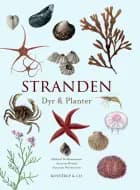 Stranden