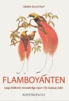 Flamboyanten