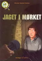Jaget i mørket