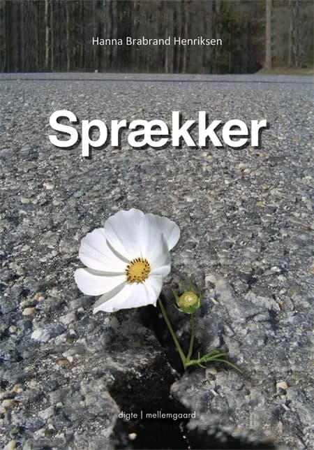Sprækker af Hanna Brabrand Henriksen
