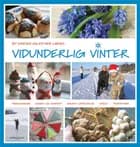 Vidunderlig vinter af Bit Eriksen og Esther Larsen