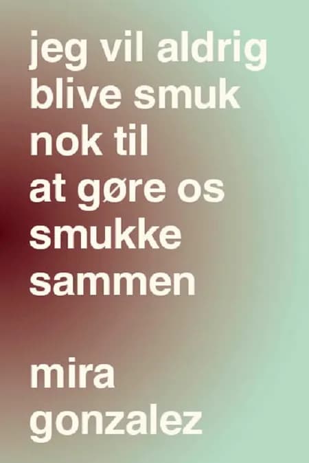 Jeg vil aldrig blive smuk nok til at gøre os smukke sammen 