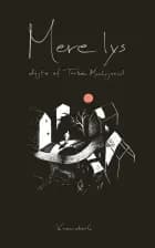 Mere lys af Torben Munksgaard