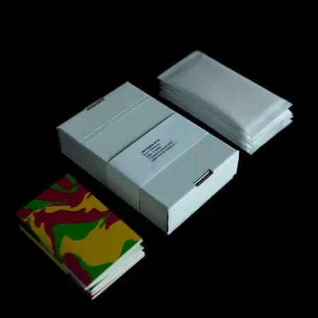 I skyggen af is af Bue P. Peitersen