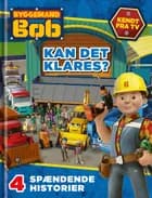 Kan det klares? 