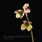 Blomsterstrik af Annette Danielsen