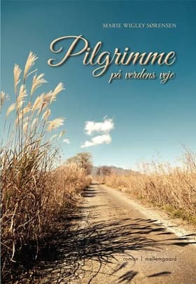 Pilgrimme på verdens veje af Jens Eichler Lorenzen