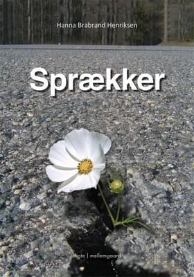 Sprækker af Jens Eichler Lorenzen