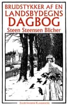 Brudstykker af en landsbydegns dagbog