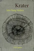 Krater af Sine Bang Nielsen