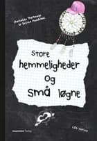 Store hemmeligheder og små løgne af Betina Hundebøll og Charlotte Thorhauge