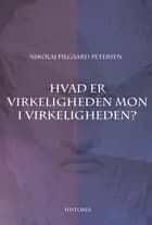 Hvad er virkeligheden mon i virkeligheden? af Nikolaj Pilgaard Petersen