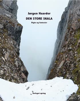 Den store skala af Jørgen Haarder