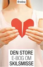 Den store e-bog om skilsmisse