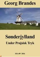 Sønderjylland under prøjsisk Tryk
