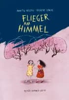 Flieger am Himmel
