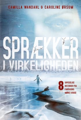 Sprækker i virkeligheden af Caroline Ørsum