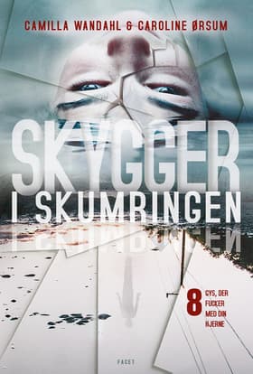 Skygger i skumringen af Caroline Ørsum