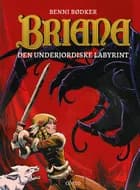 Den underjordiske labyrint af Benni Bødker