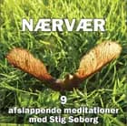 Nærvær af Stig Seberg
