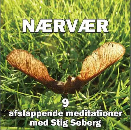 Nærvær af Stig Seberg