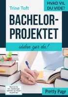 Bachelorprojektet