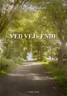 Ved vejs ende af Lene Lehnskov