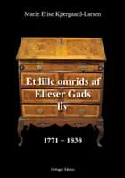 Et lille omrids af Elieser Gads liv