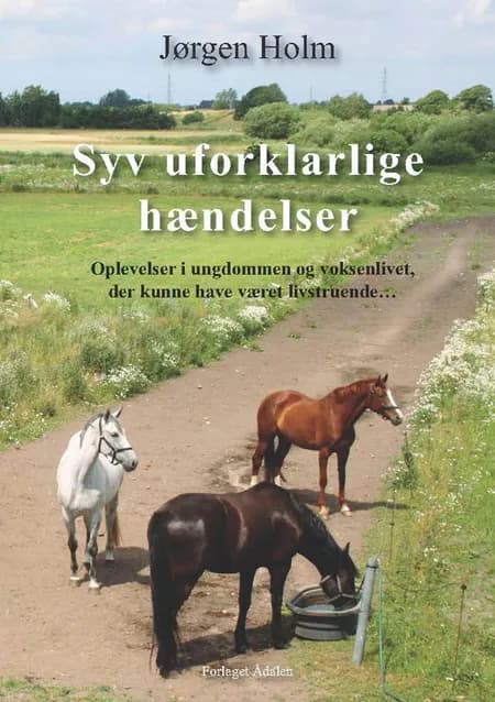 Syv uforklarlige hændelser af Jørgen Holm