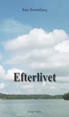 Efterlivet af Rune Borrensbjerg