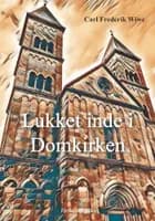 Lukket inde i Domkirken