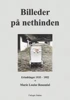Billeder på nethinden
