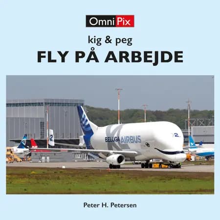 Kig & peg: FLY PÅ ARBEJDE af Peter Helge Petersen