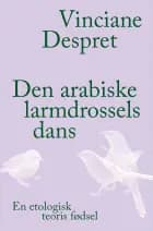 Den arabiske larmdrossels dans