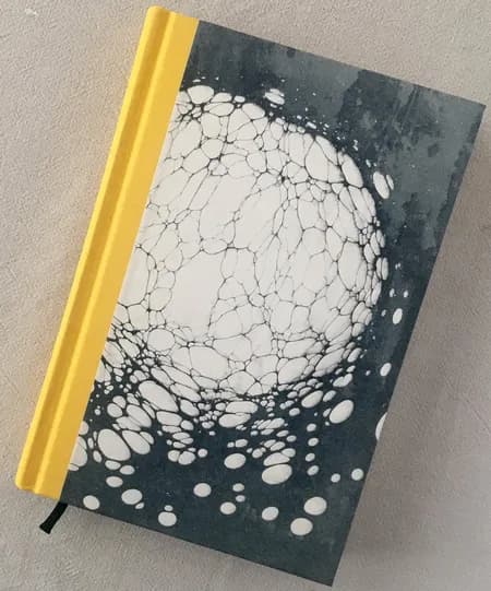 Parerga og Paralipomena I, 2 af Arthur Schopenhauer