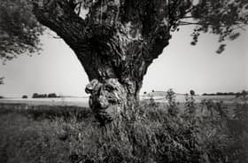Hindsholm af Peter Brandes