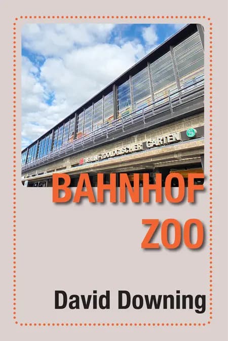 Bahnhof ZOO af David Downing