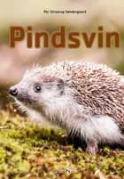 Pindsvin af Per Straarup Søndergaard